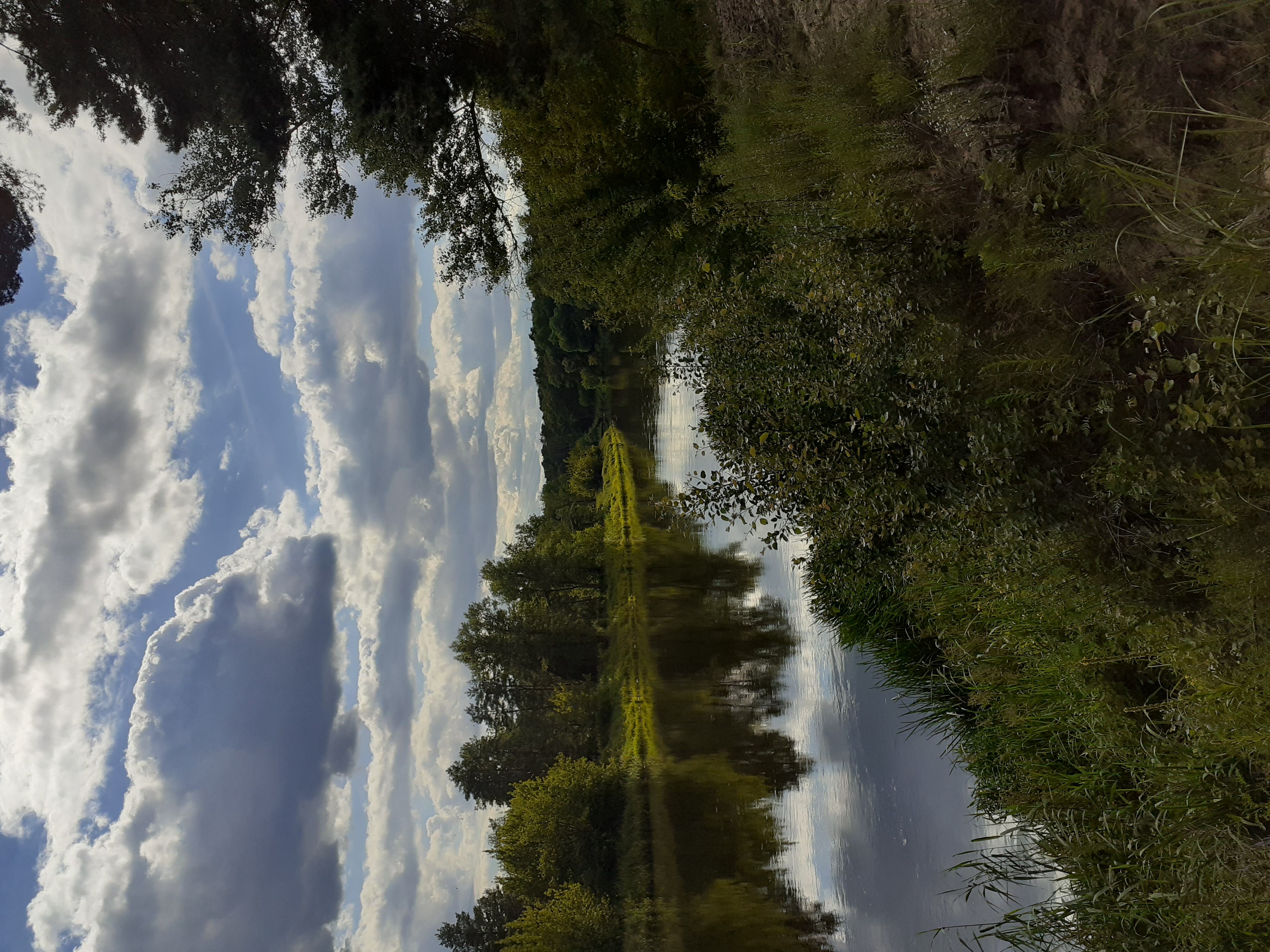 Jędrek Starkowski.jpg